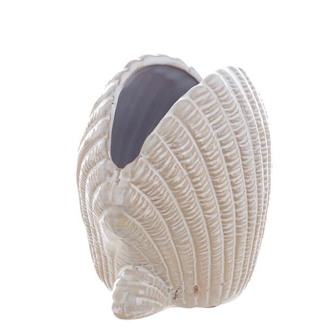 Vaso conchiglia “Anemone”