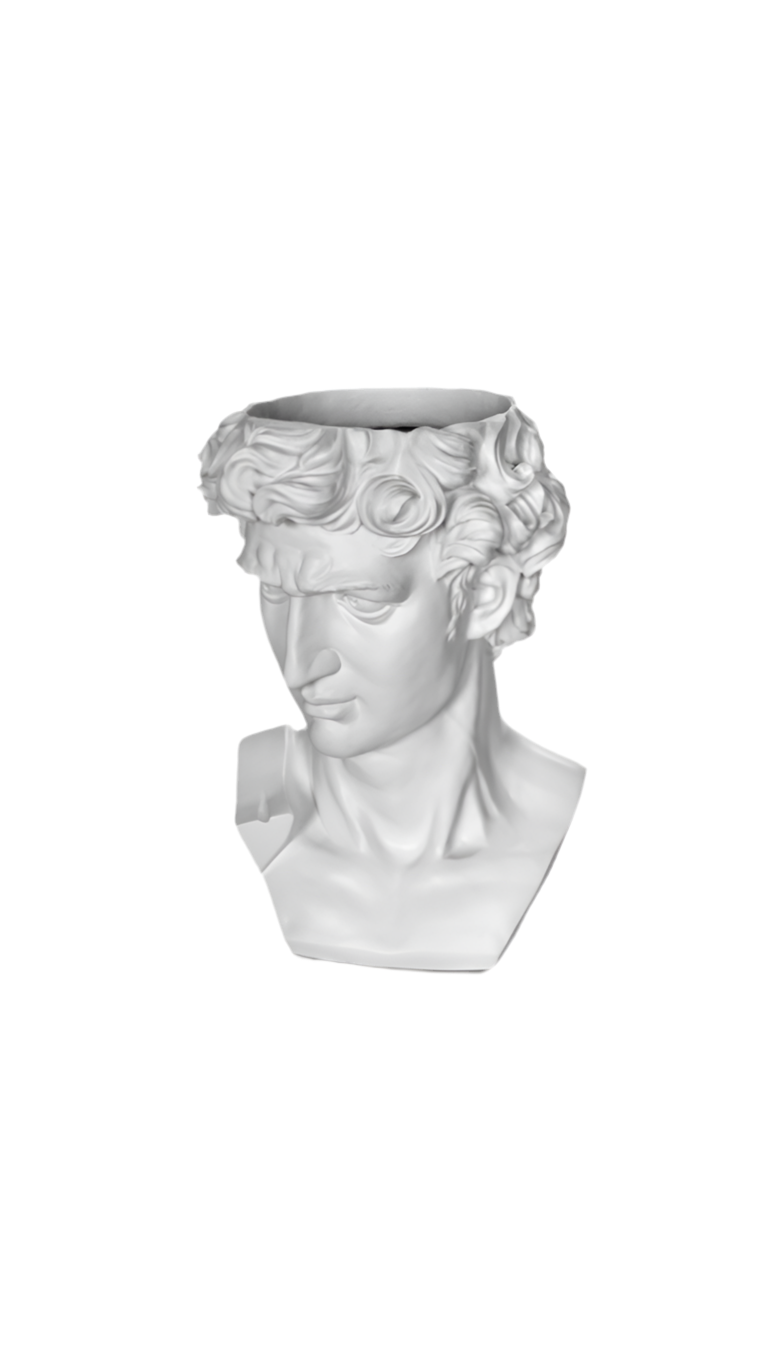 Busto “David”