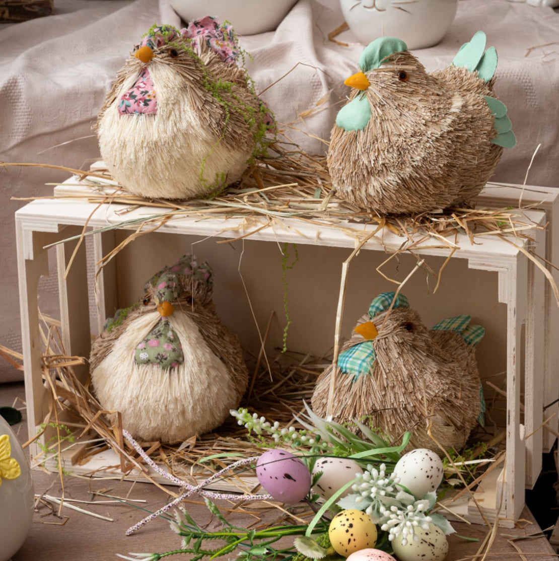 Pulcino “Paglia”