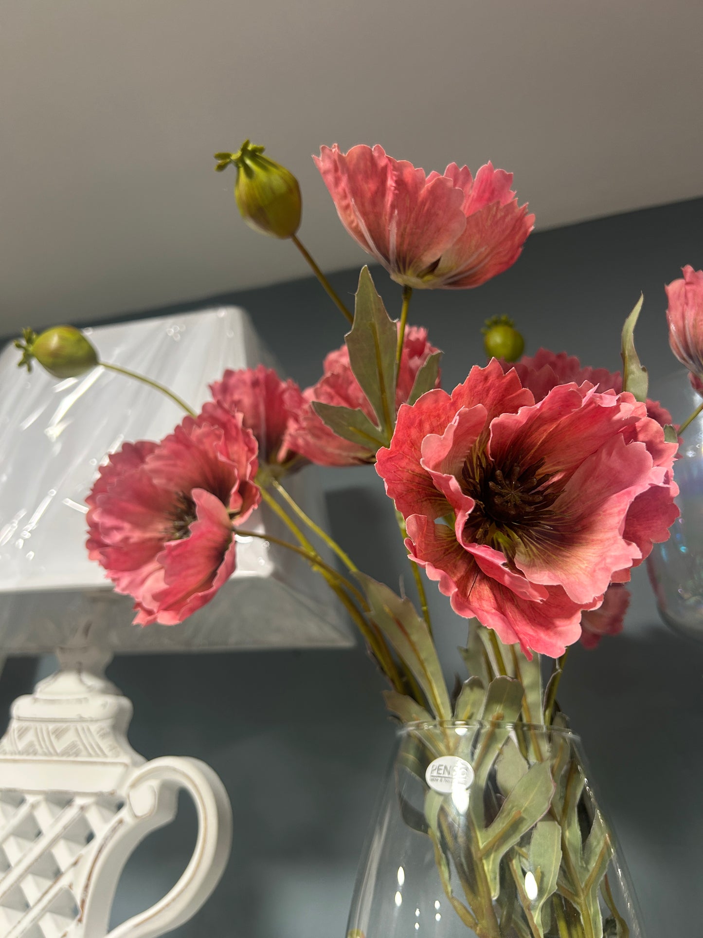 Poppy “Pink”