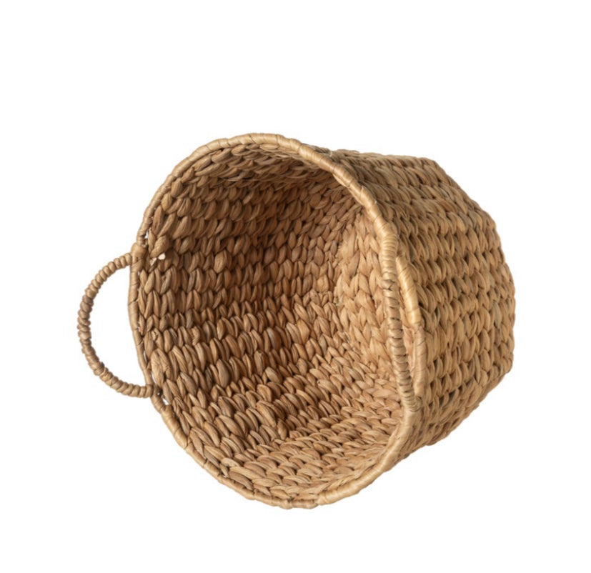 Cestini “Giacinto d’acqua”