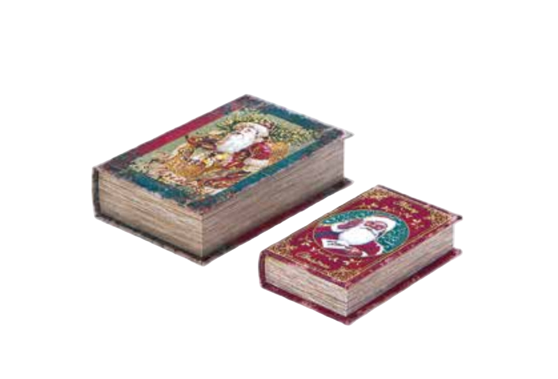 Set due libri contenitori “Babbo”