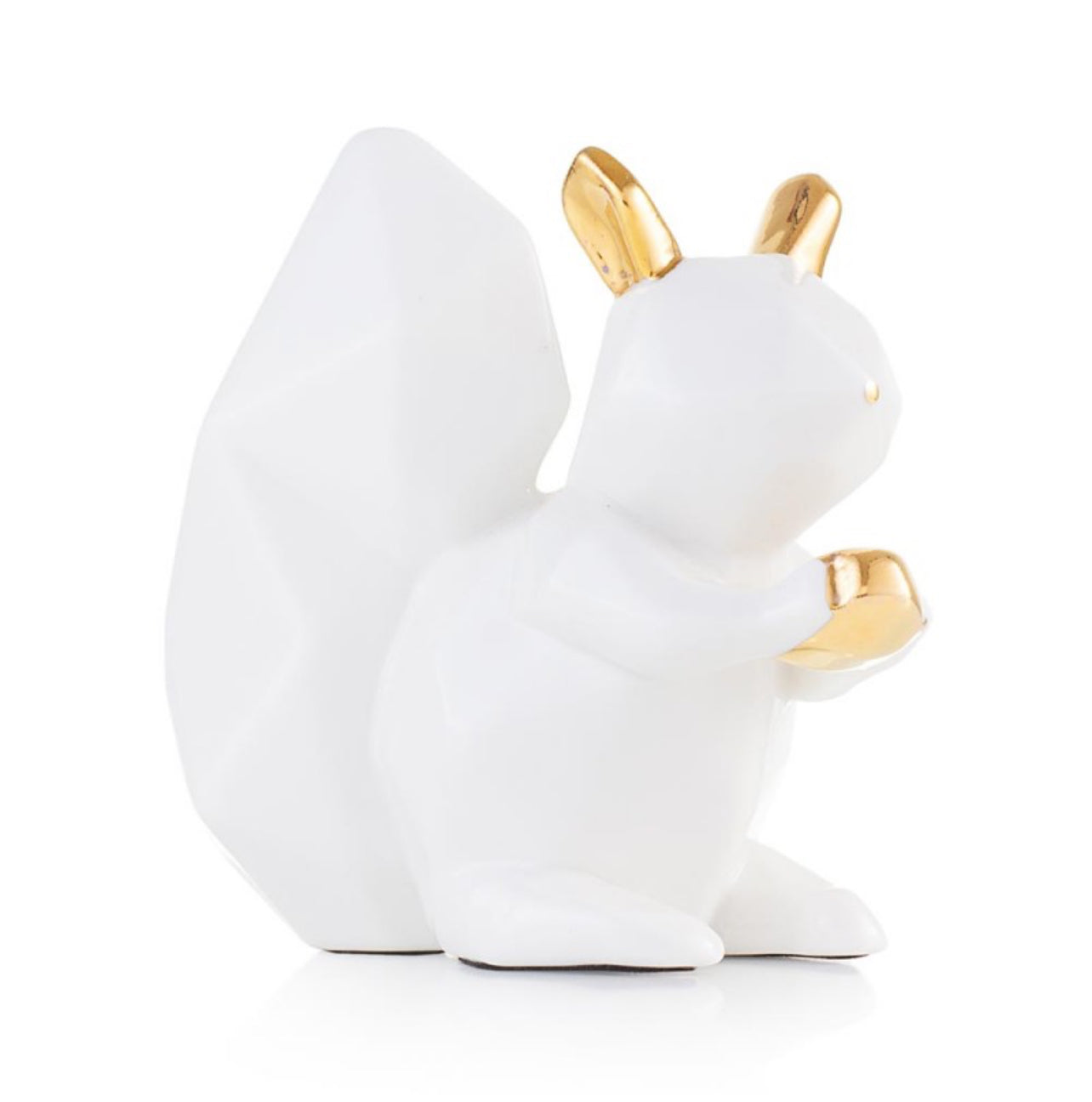 Scoiattolo bianco “Cuccioli”