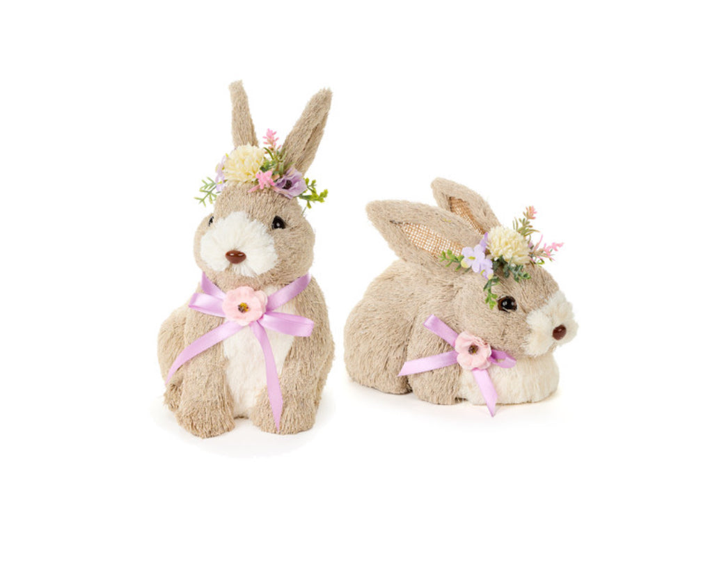 Coniglio “Bunny”