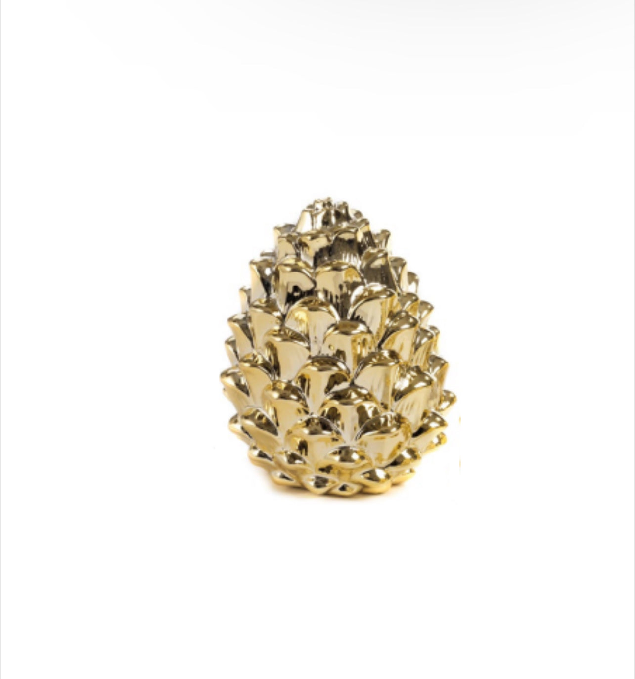 “Pigna Oro”