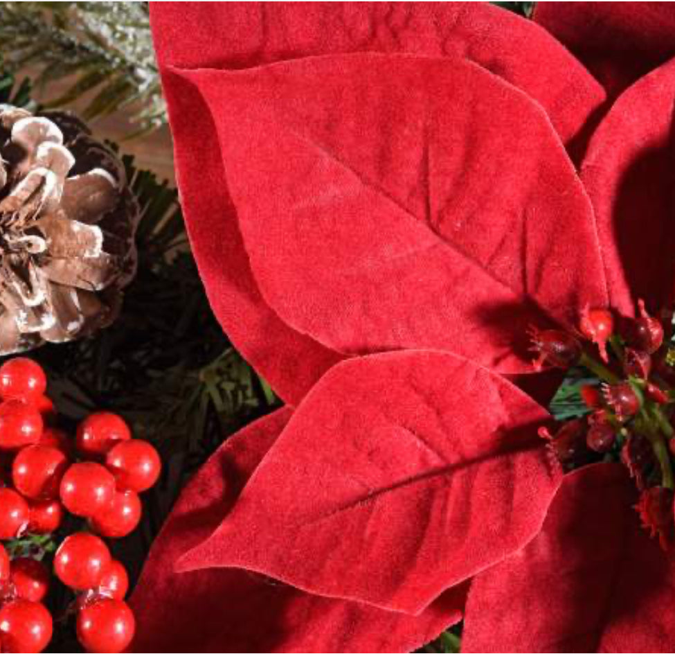 Ghirlanda “Stelle di Natale”