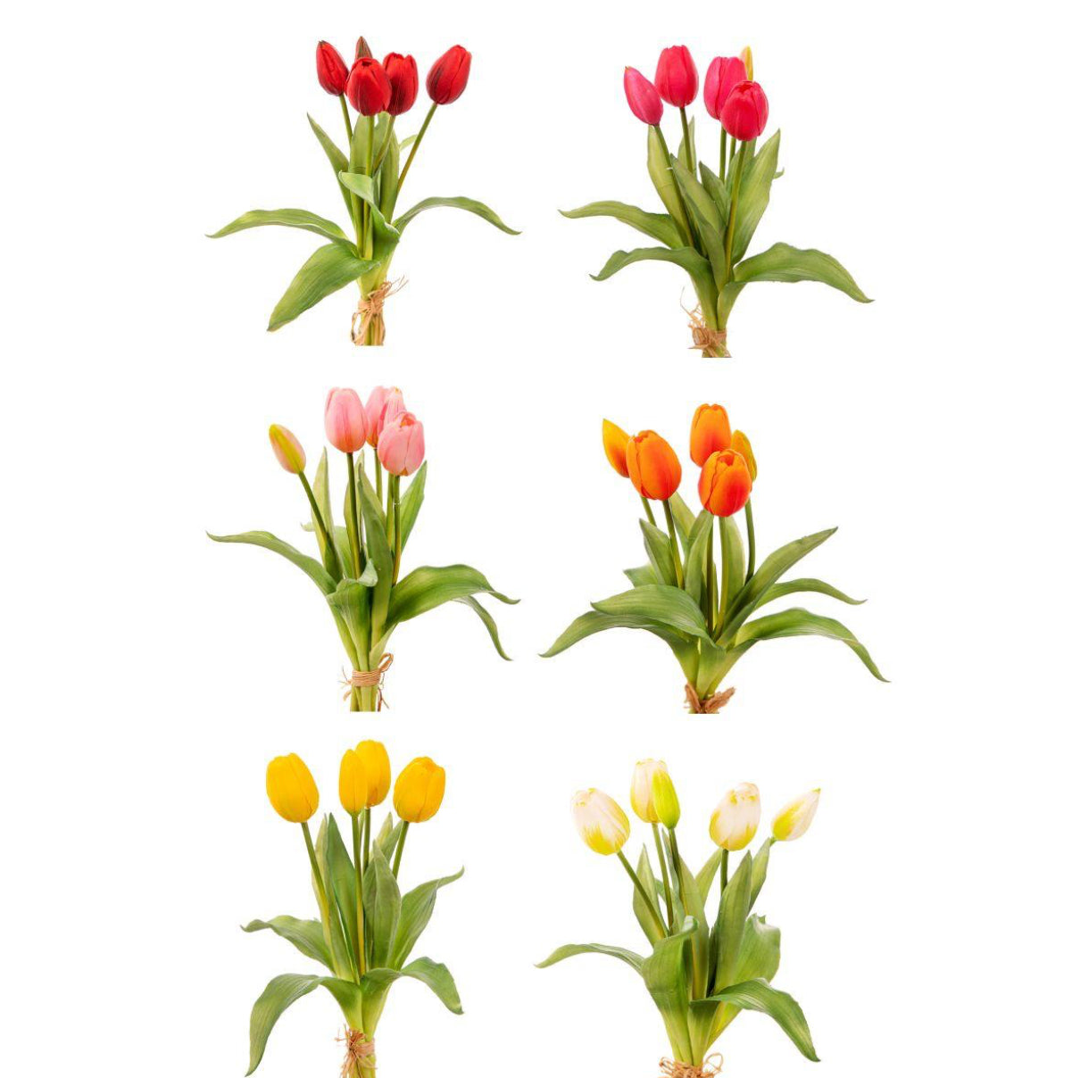 Mazzolino Tulipani “Natural Touch”