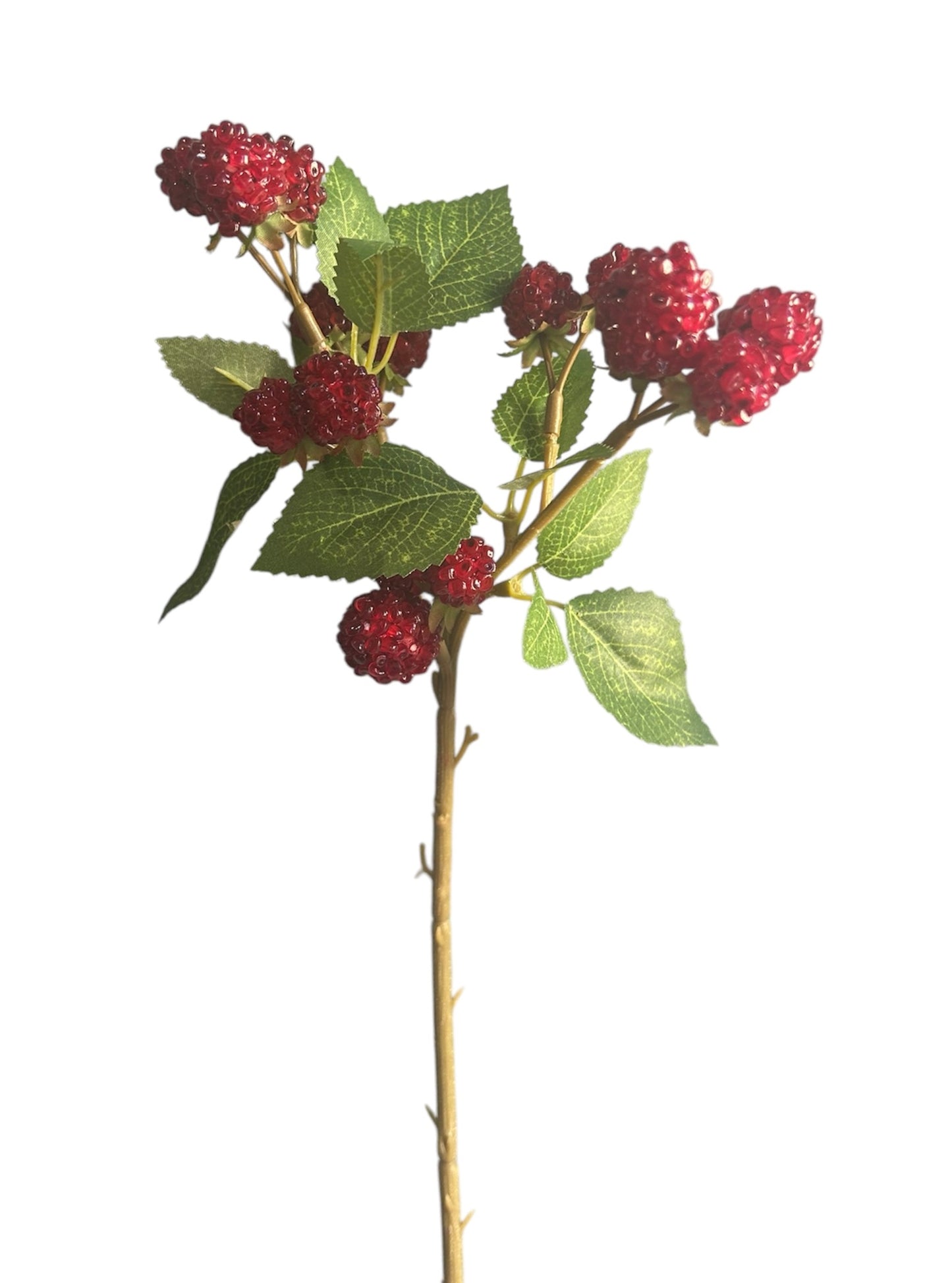 “Raspberry”