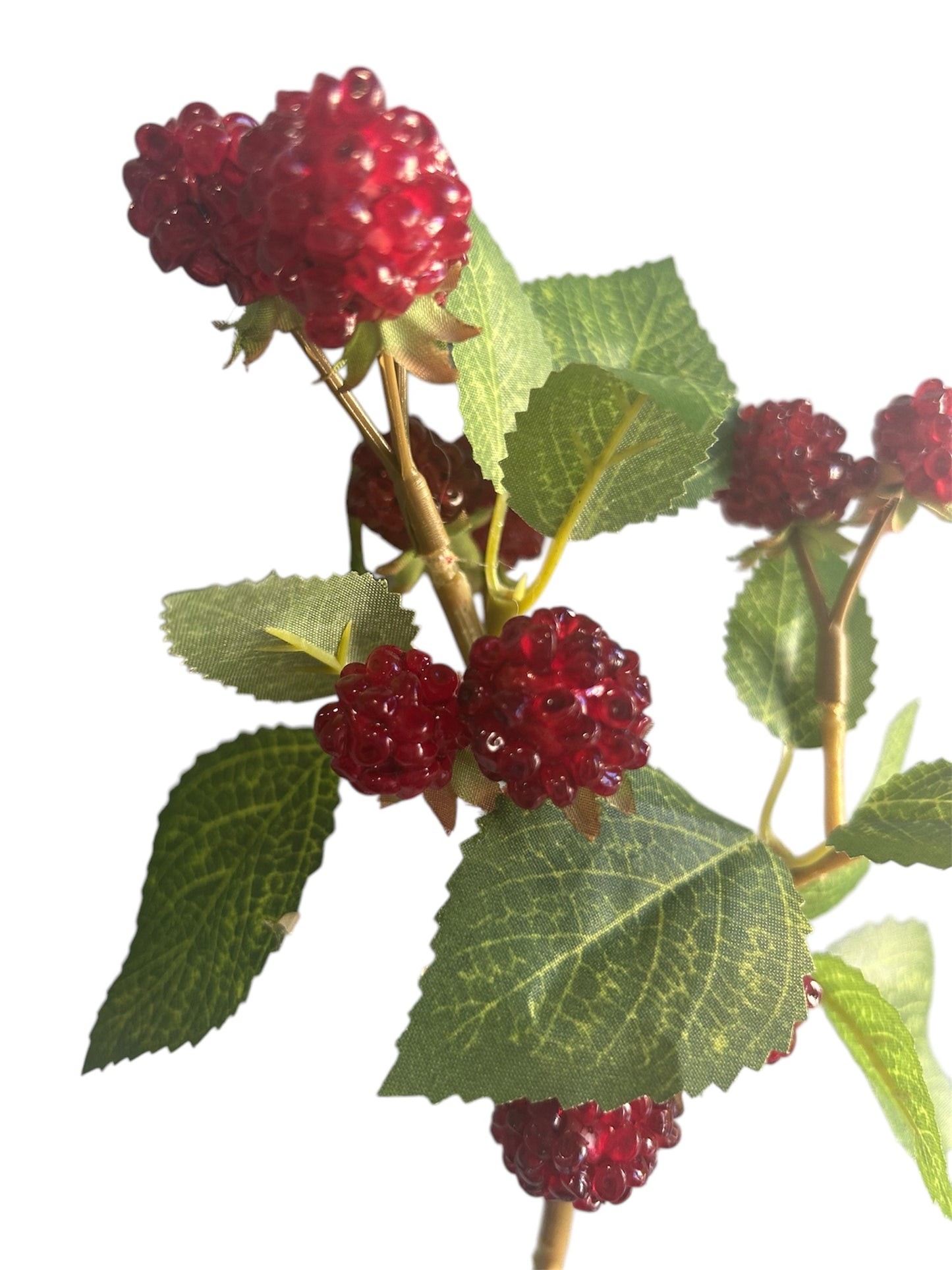 “Raspberry”