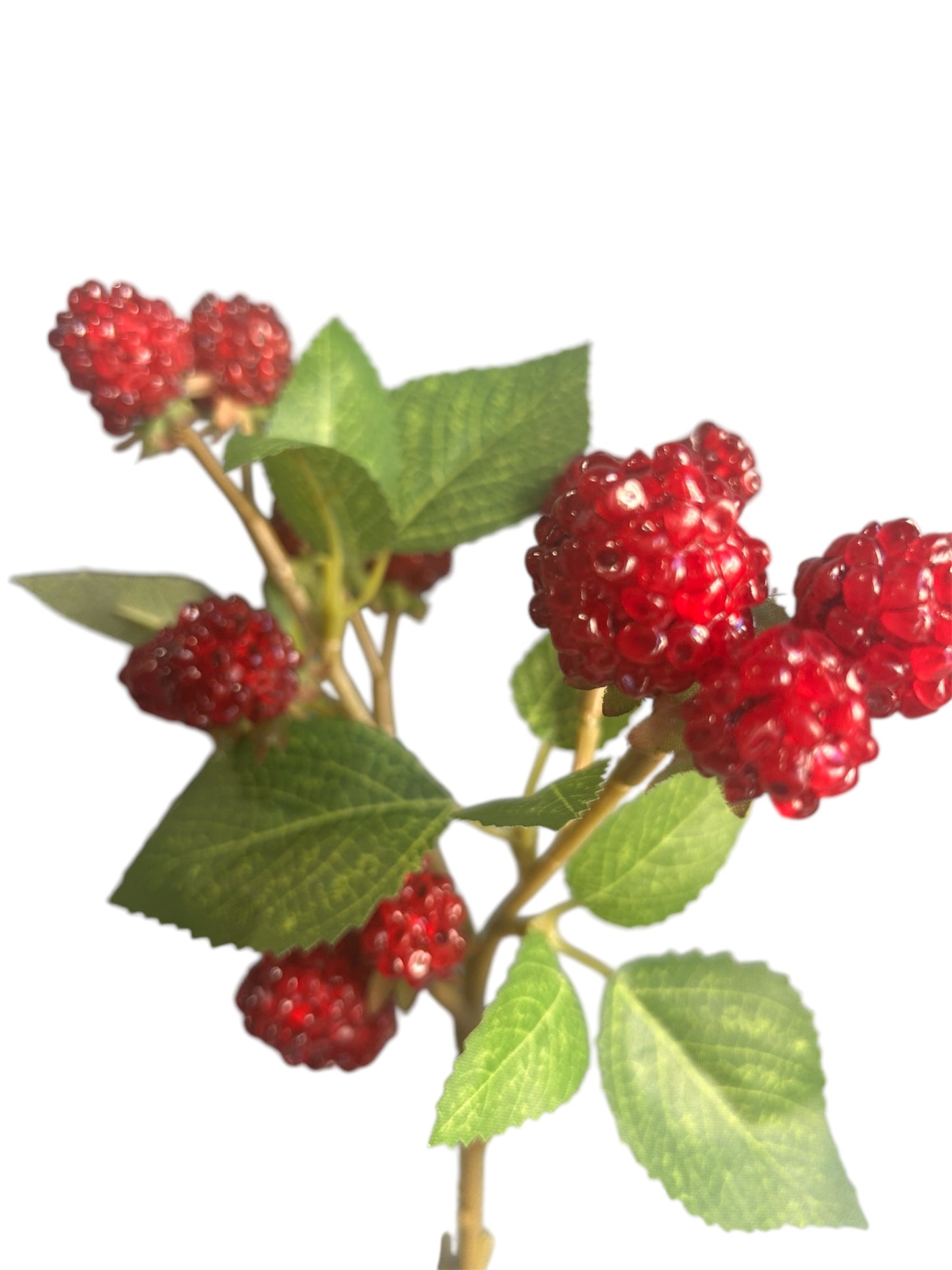 “Raspberry”