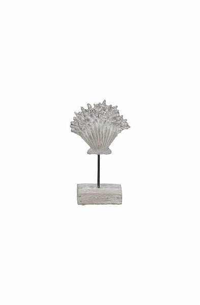 Scultura Conchiglia "Home Decor Ionico”