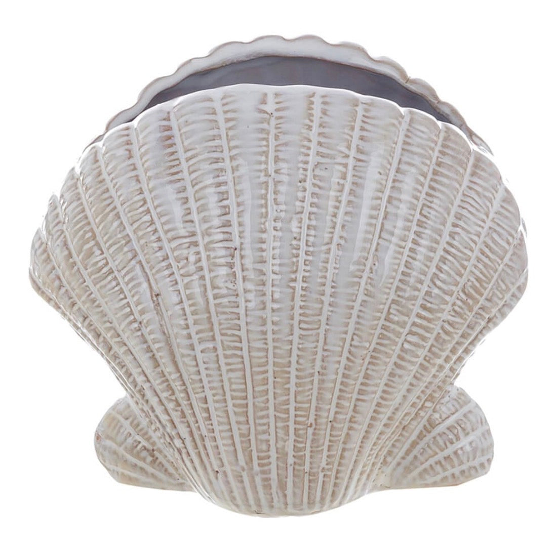 Vaso conchiglia “Anemone”