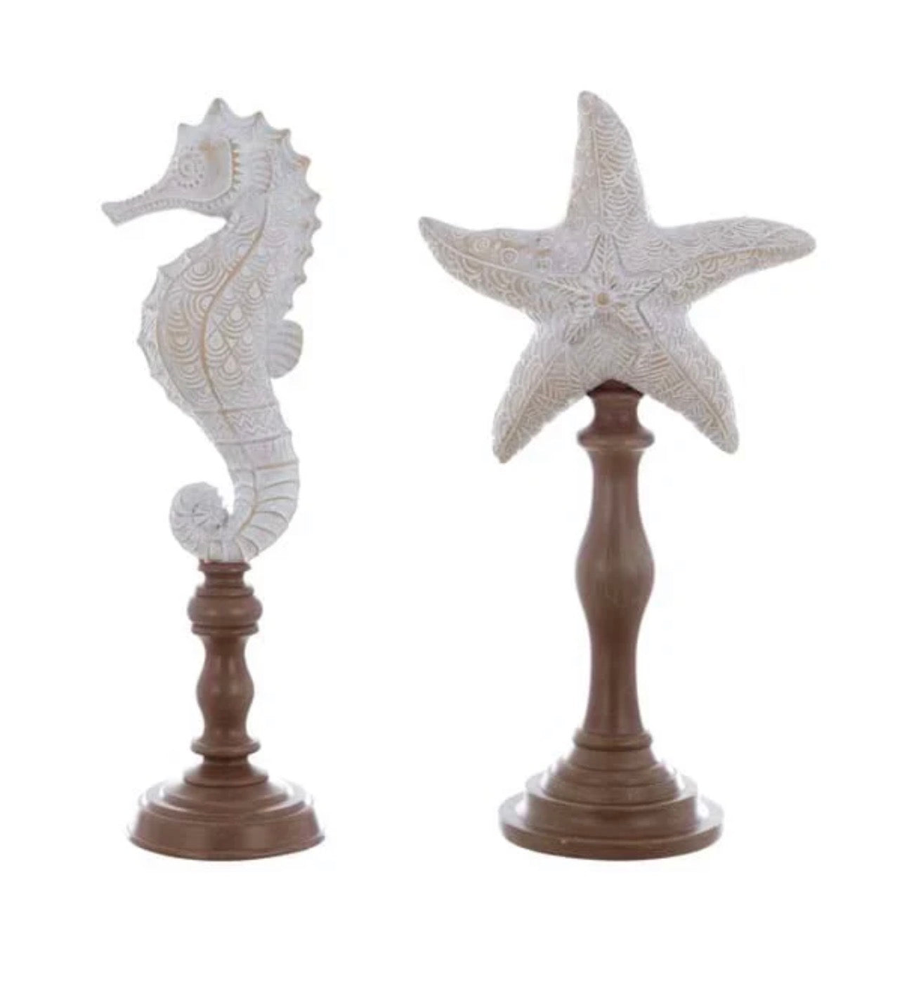 Decoro stella/cavalluccio “Anemone”