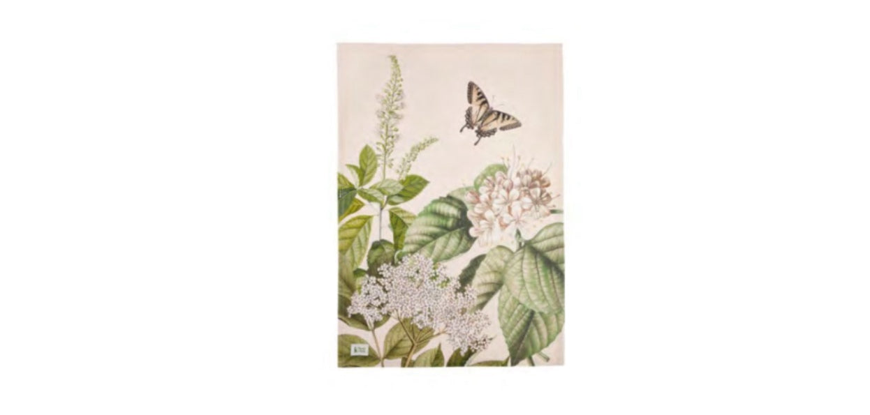 Strofinaccio “Herbarium”