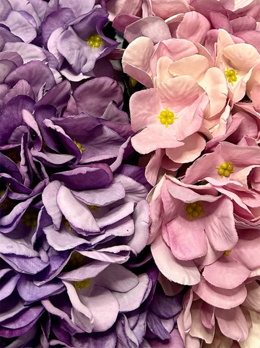 Ortensia “Juliet”