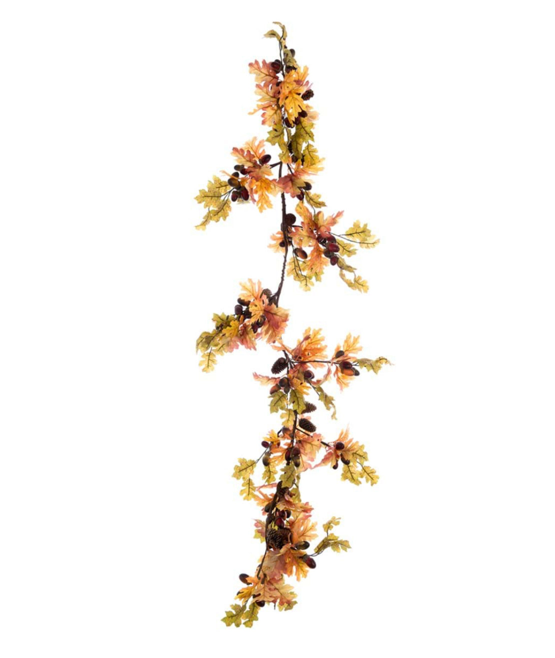 Festone “Harmonia Naturae”