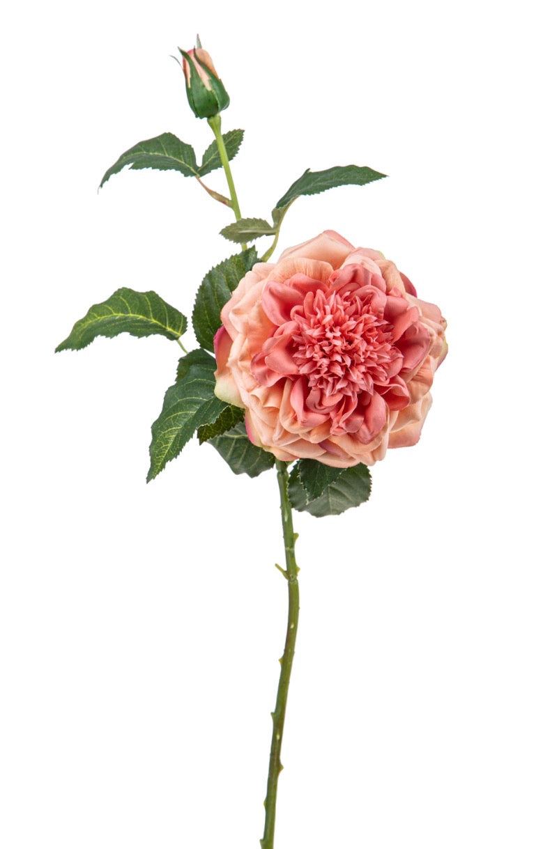 Fiore con bocciolo “Rosa”