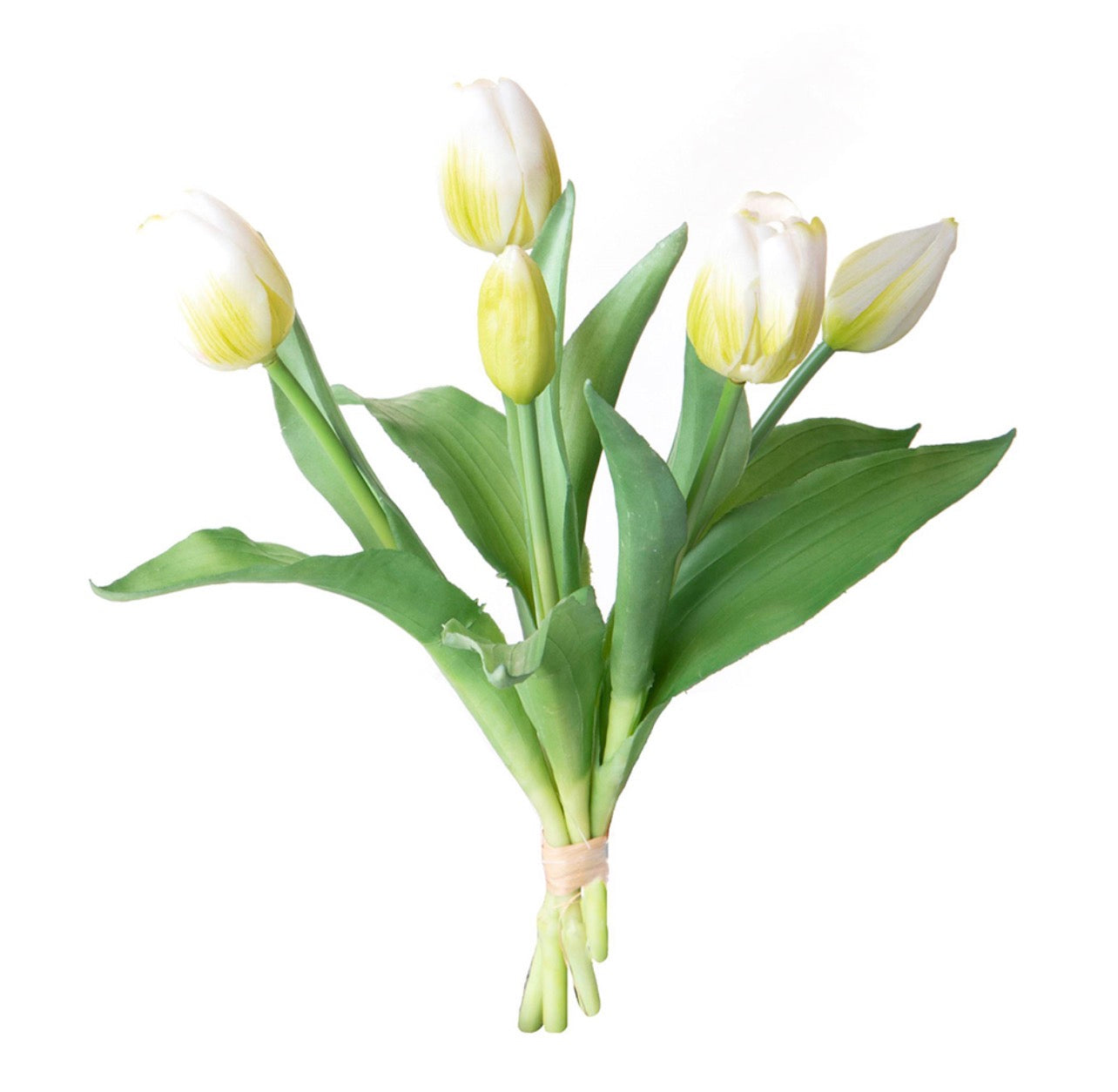 Bouquet di 5 ”Tulipani bianchi”