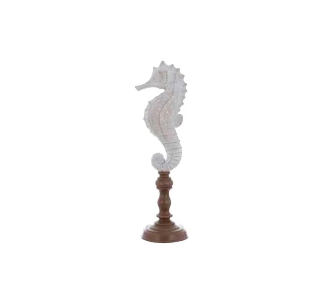 Decoro stella/cavalluccio “Anemone”