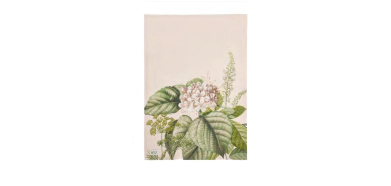 Strofinaccio “Herbarium”