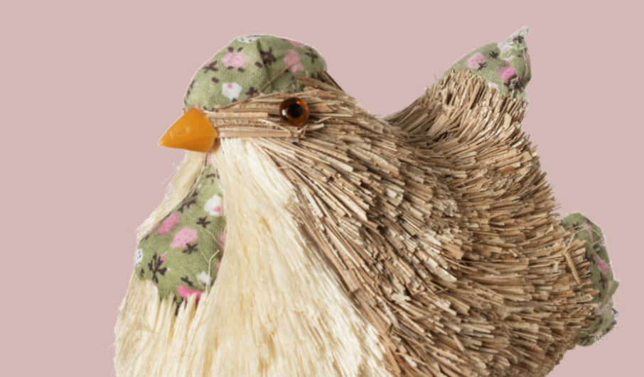 Pulcino “Paglia”