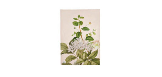 Strofinaccio “Herbarium”