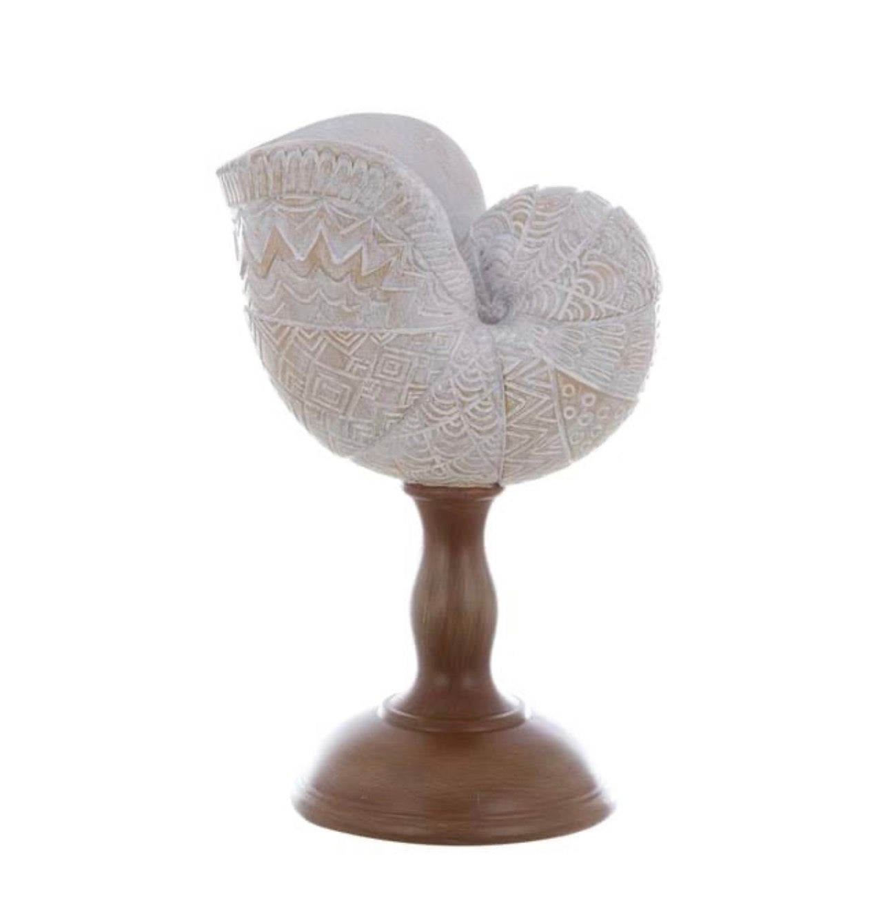Decoro conchiglia “Anemone”