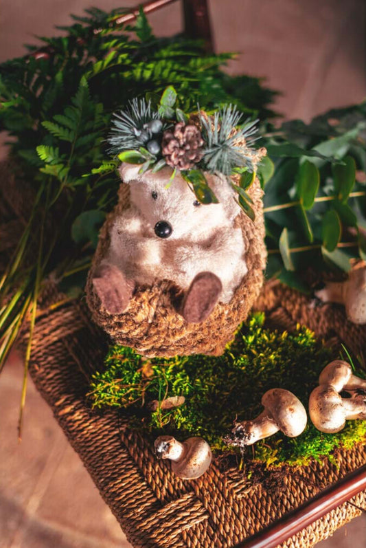 Decoro Riccio “Casa da Floresta”