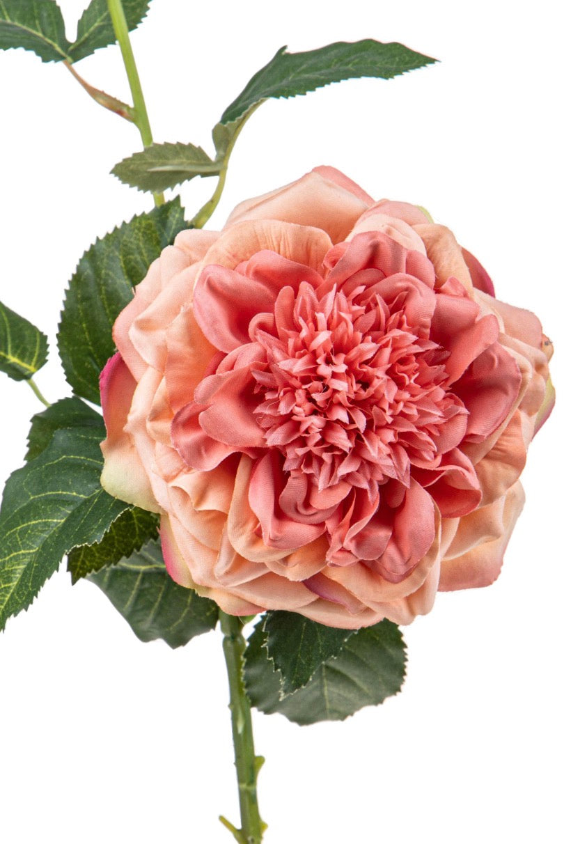Fiore con bocciolo “Rosa”
