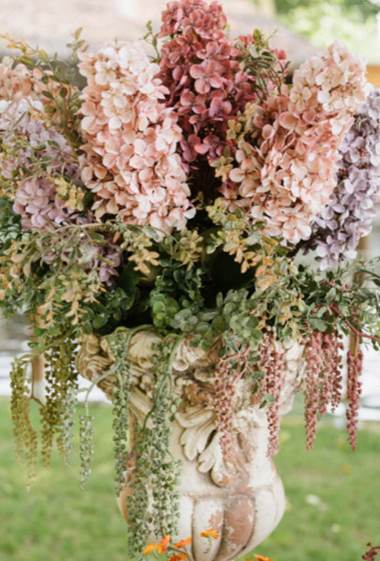 Ortensia “Grappolo”